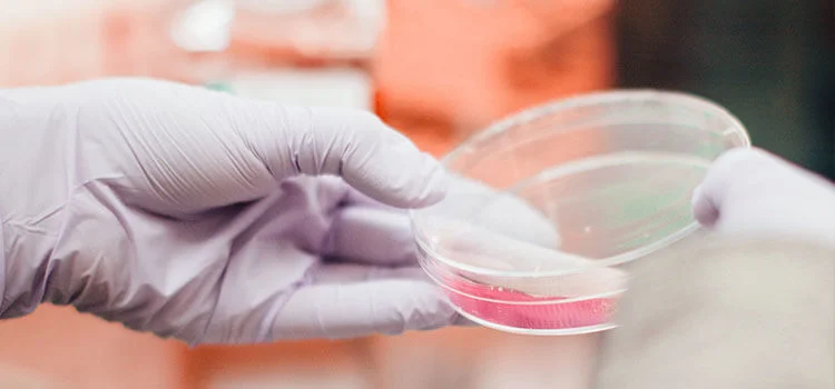 Скидка 15% на комплекс ИППП для женщин