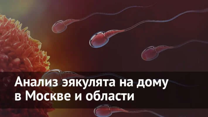 Спермограмма на дому в Москве