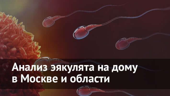 Спермограмма на дому в Москве