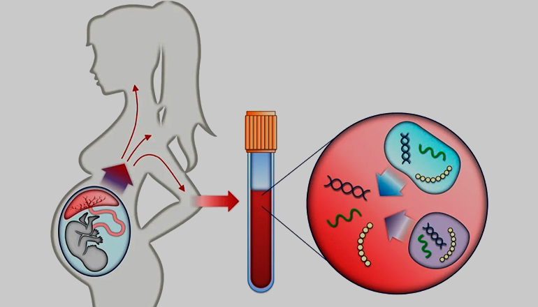Неинвазивный пренатальный тест