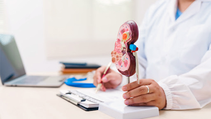 Кто такой нефролог