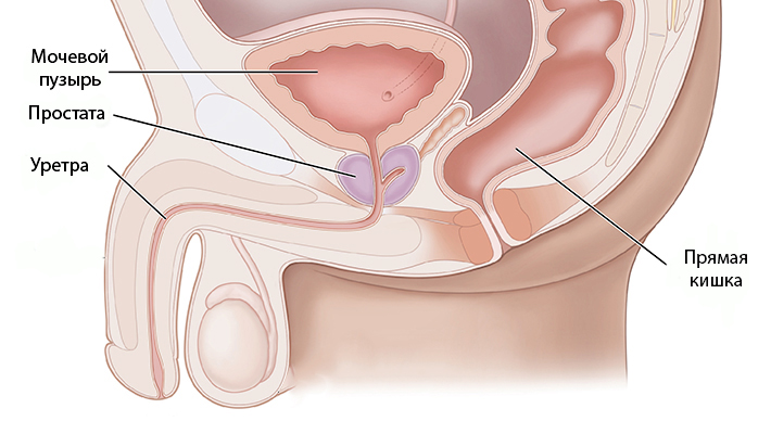 Зачем делают массаж простаты